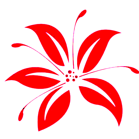 Safran du Quercy | Tarn-et-Garonne 82 | Bio & Vente directe